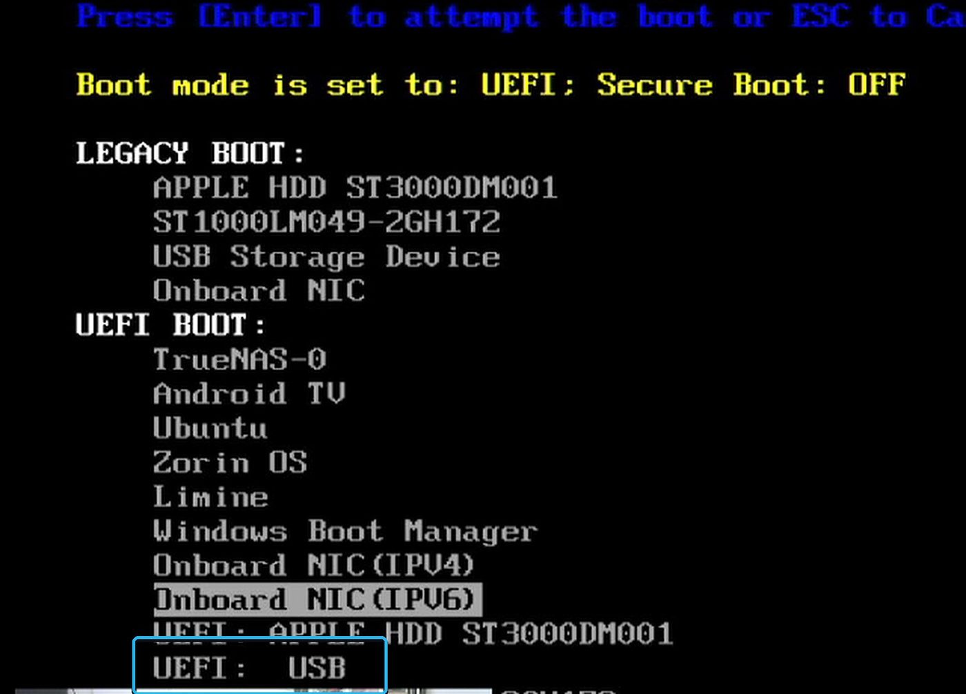 Pick the USB stick from the boot menu.